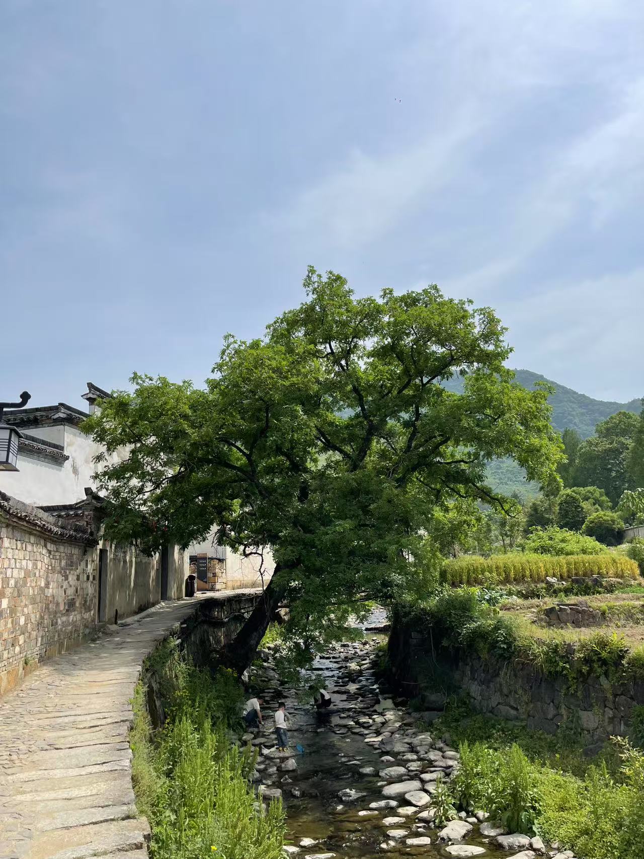 中国经典村落景观--黄田古镇